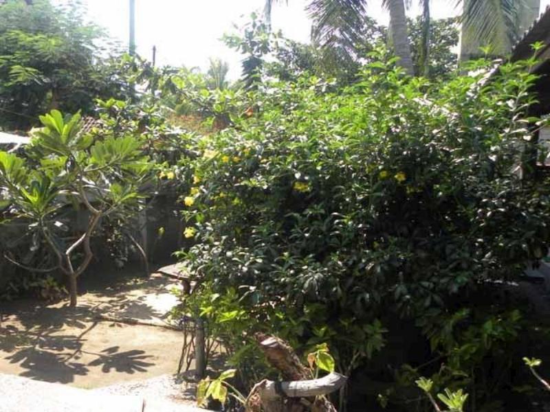 Malino Homestay Gili Trawangan Buitenkant foto